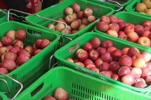 特色農(nóng)產(chǎn)品展 鄉(xiāng)村振興的窗口與機(jī)遇