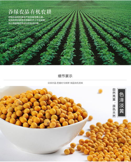 從一粒黃豆看中國(guó)農(nóng)產(chǎn)品產(chǎn)業(yè)的現(xiàn)代化發(fā)展之路