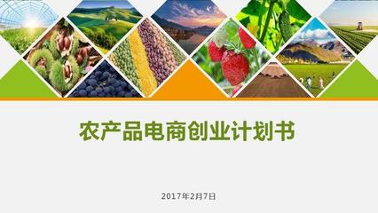 農(nóng)產(chǎn)品電商創(chuàng)業(yè)計(jì)劃書 構(gòu)建數(shù)字化生態(tài)，賦能現(xiàn)代農(nóng)業(yè)新未來