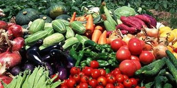 皖校食堂攜手，愛(ài)心采購(gòu)助農(nóng)惠學(xué)