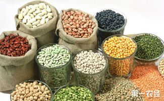 山西聚焦特色資源，擬10月確定20個(gè)獨(dú)有功能農(nóng)產(chǎn)品品牌