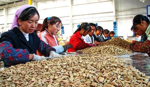 從城市返鄉(xiāng)創(chuàng)業(yè)新路徑 五種適合農(nóng)村的農(nóng)產(chǎn)品加工廠(chǎng)